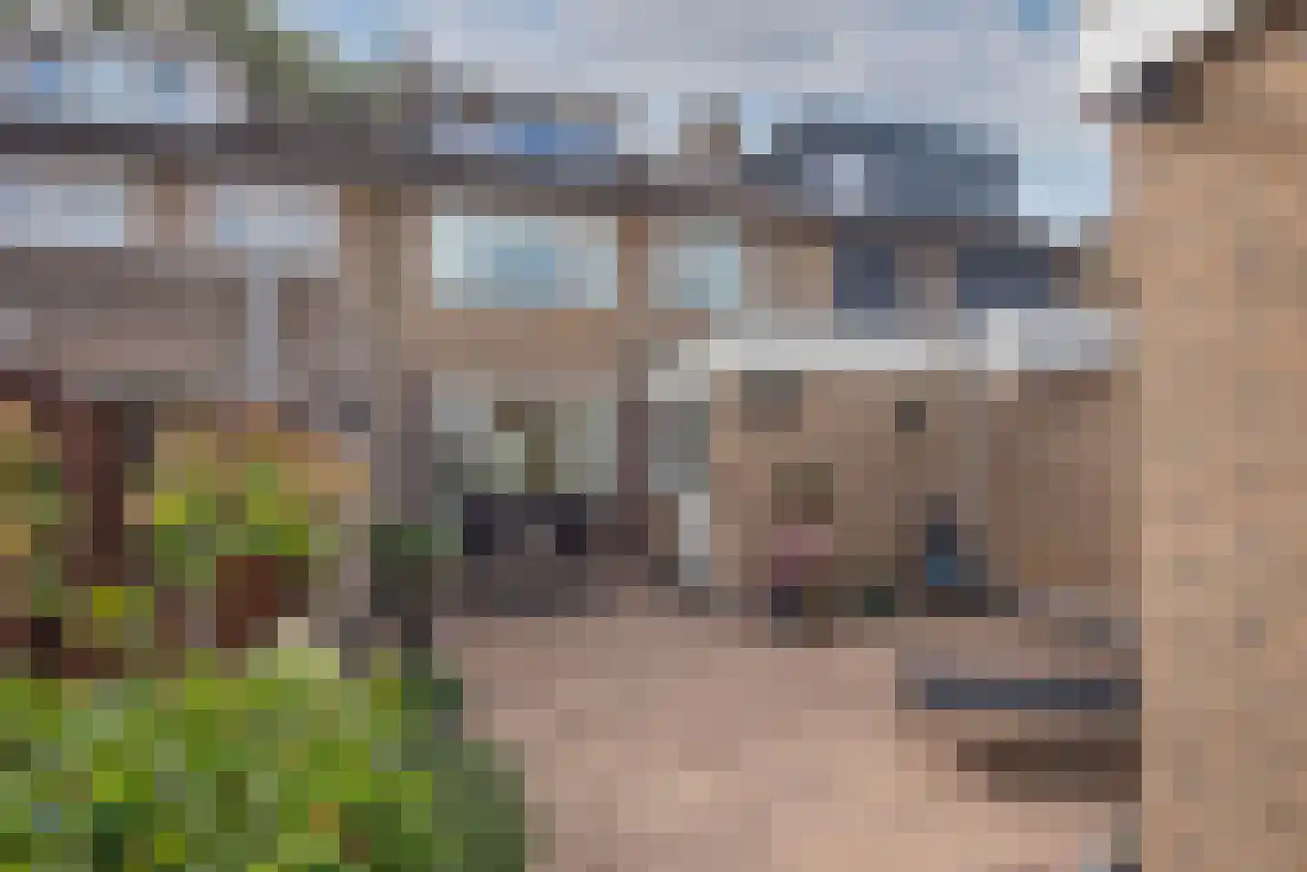 Reviusstraat 83 Hengelo thumbnail 34