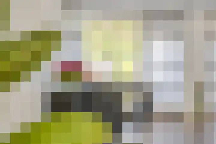 Reviusstraat 99 Hengelo thumbnail 16