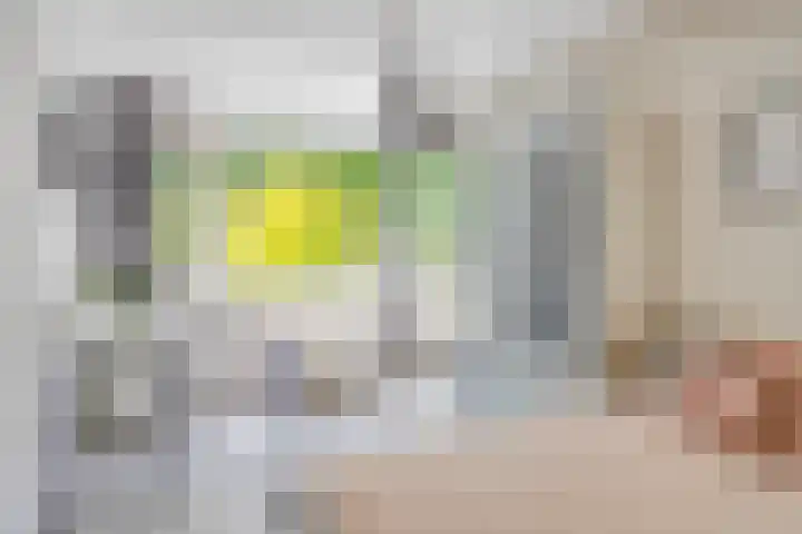 Reviusstraat 99 Hengelo thumbnail 32