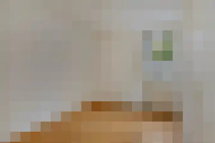 Reyckenborg 37 A Maastricht thumbnail 9