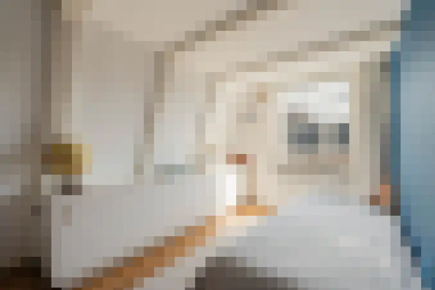 Reyer Anslostraat 21 2 Amsterdam thumbnail 20