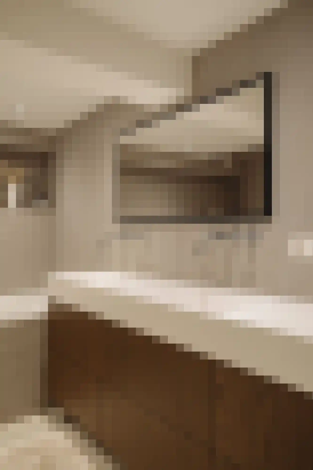 Reyer Anslostraat 21 2 Amsterdam thumbnail 20