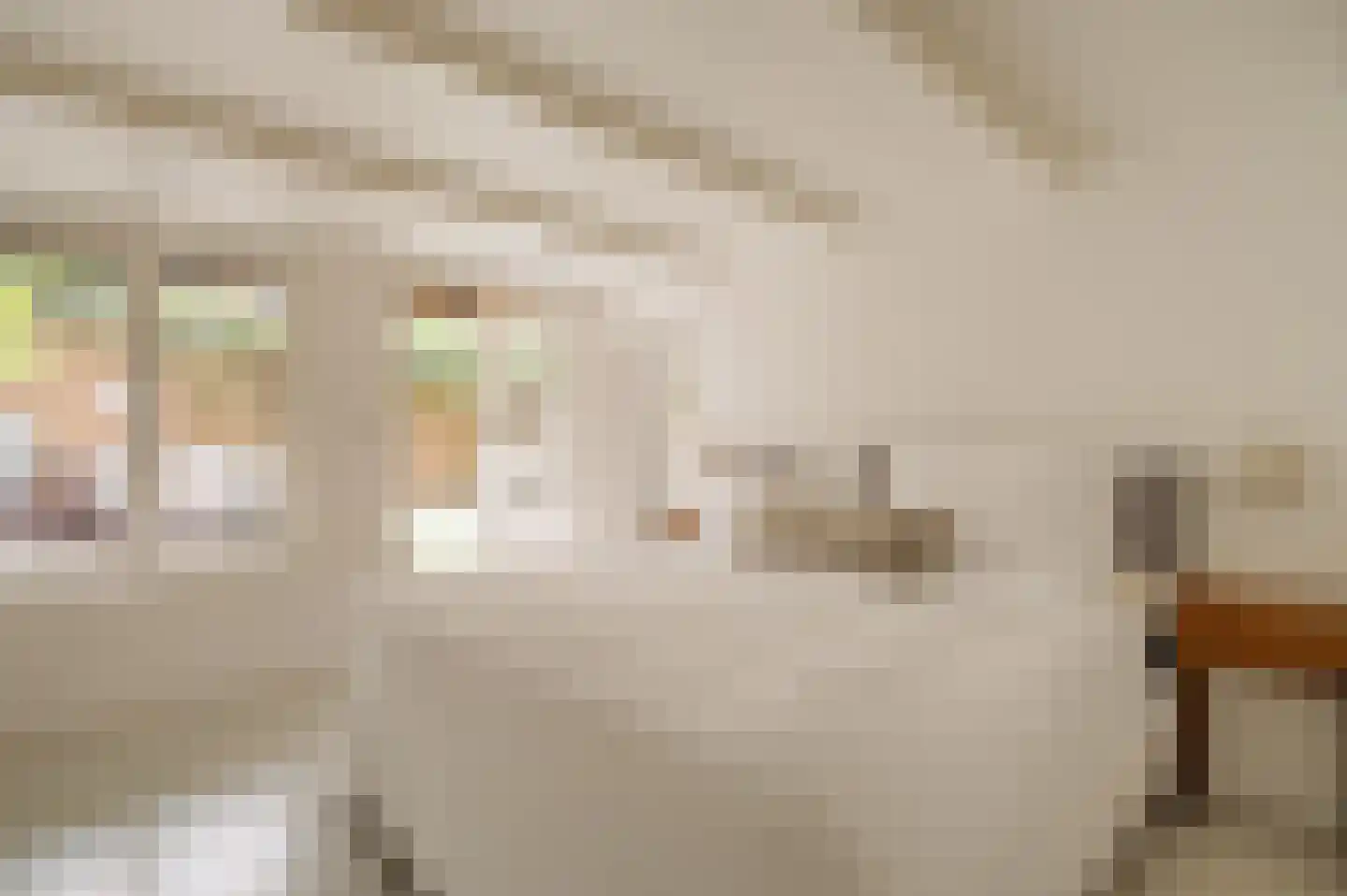 Reyer Anslostraat 21 2 Amsterdam thumbnail 25