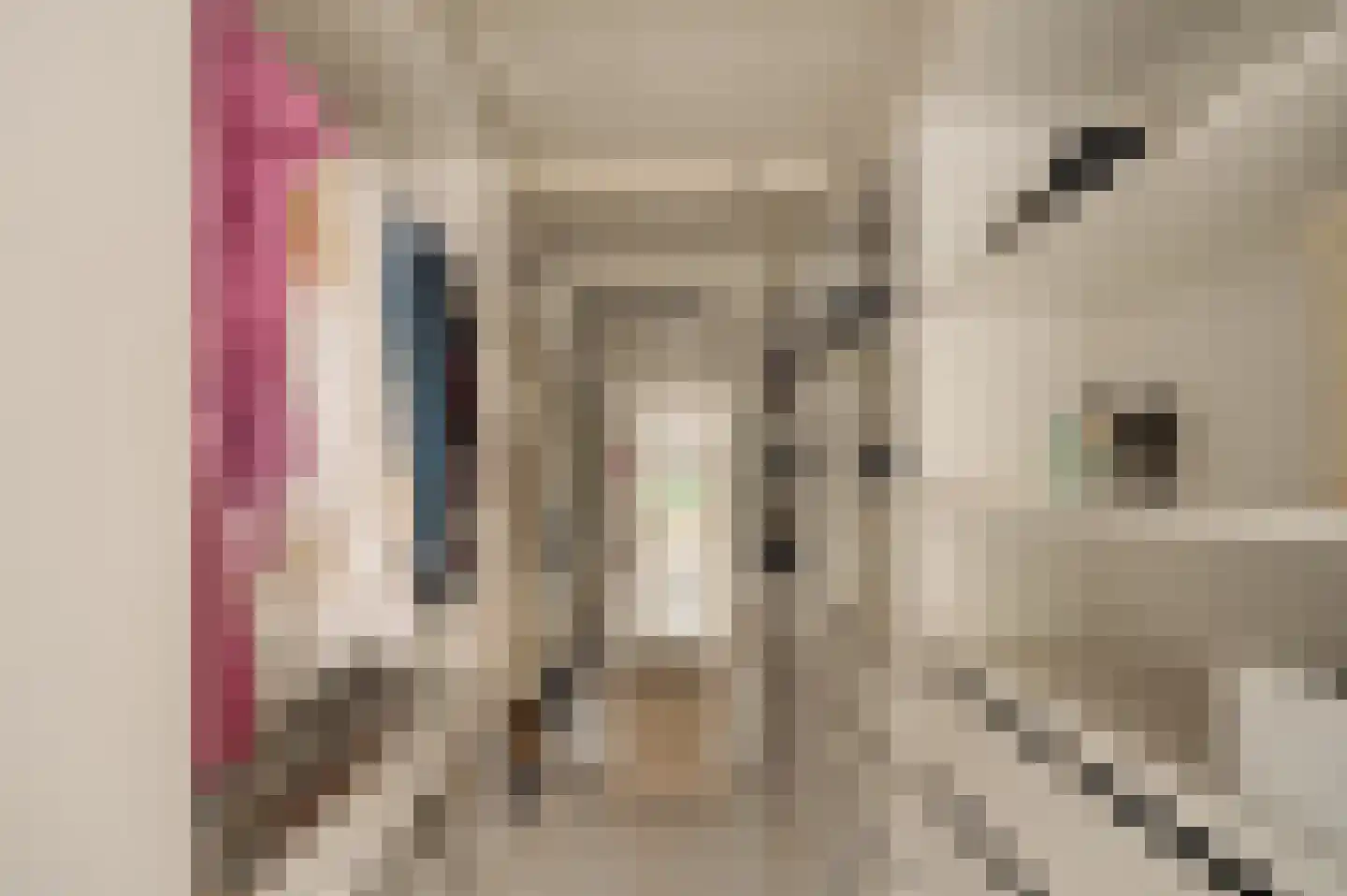 Reyer Anslostraat 21 2 Amsterdam thumbnail 28