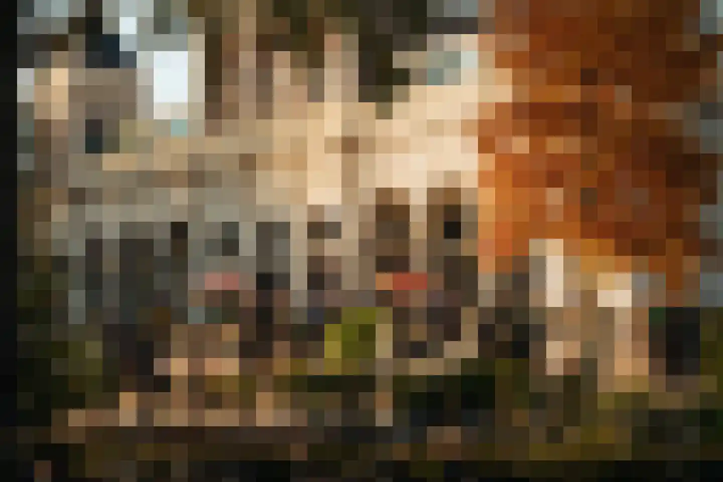 Reyer Anslostraat 21 2 Amsterdam thumbnail 34