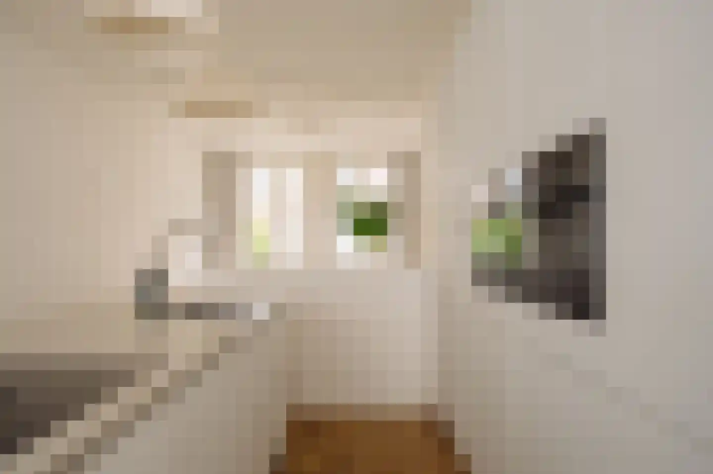 Reyer Anslostraat 21 2 Amsterdam thumbnail 6