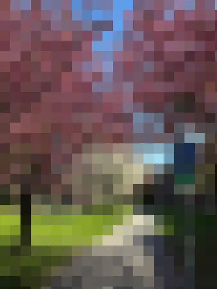 Reyer Anslostraat 83 Utrecht thumbnail 53