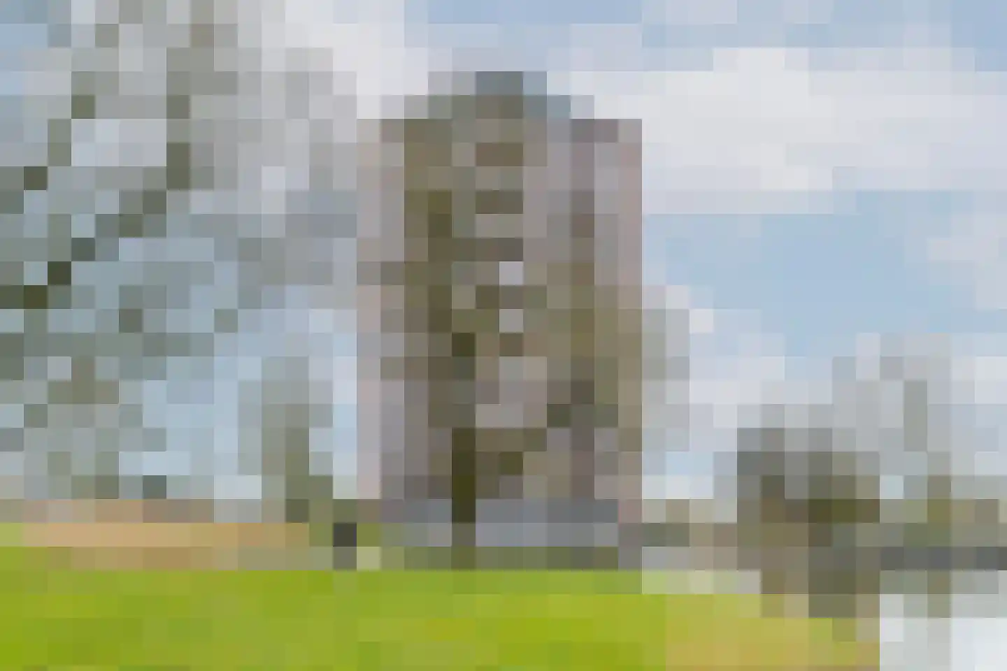 Reyerdijk 13 B Rotterdam thumbnail 35