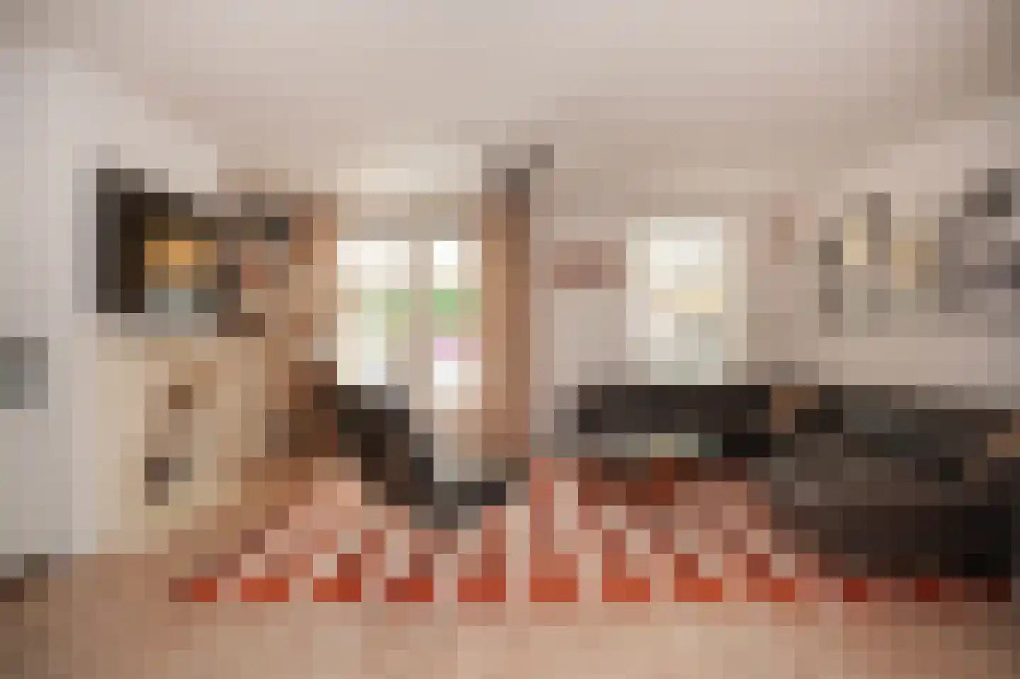 Reyersakker 12 Hedel thumbnail 4