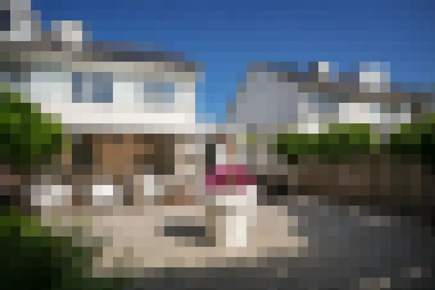 Reyersakker 12 Hedel thumbnail 56