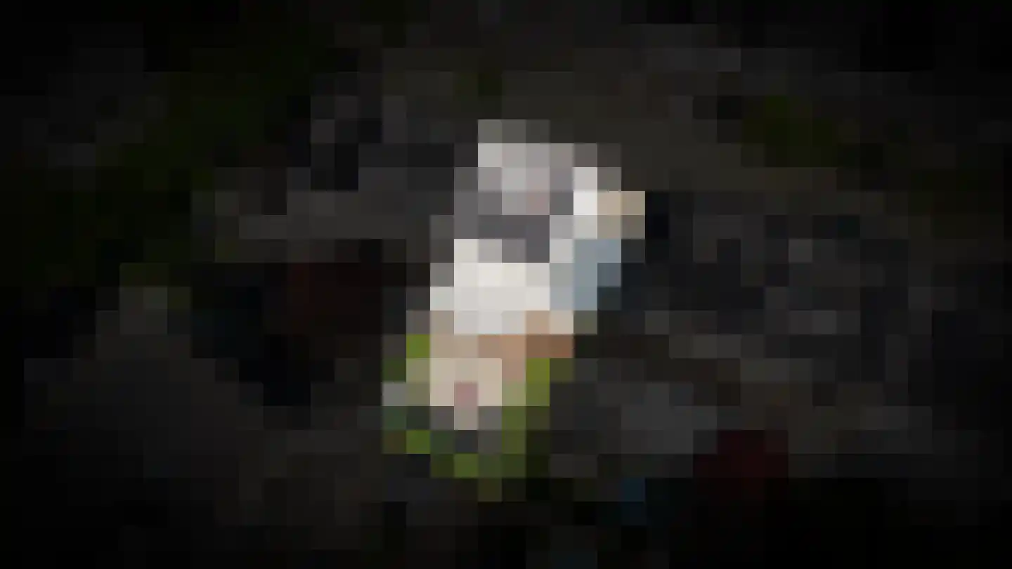 Reyersakker 12 Hedel thumbnail 72