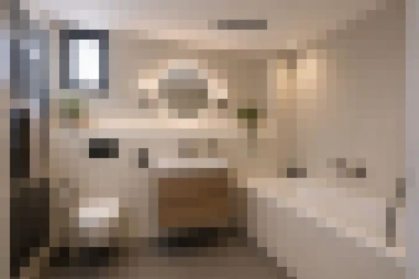 Reyershaag 77 Maastricht thumbnail 13