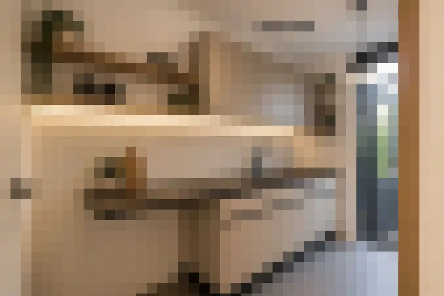Reyershaag 77 Maastricht thumbnail 6