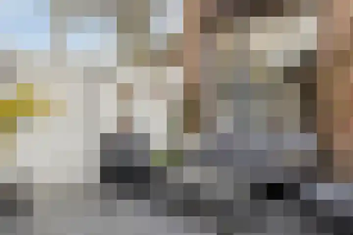 Reyershaag 93 Maastricht thumbnail 14