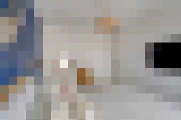 Reyershaag 93 Maastricht thumbnail 17
