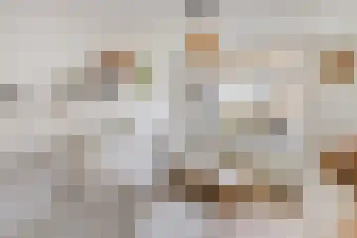 Reyershaag 93 Maastricht thumbnail 18