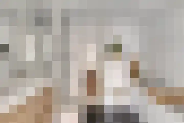 Reyershaag 93 Maastricht thumbnail 22