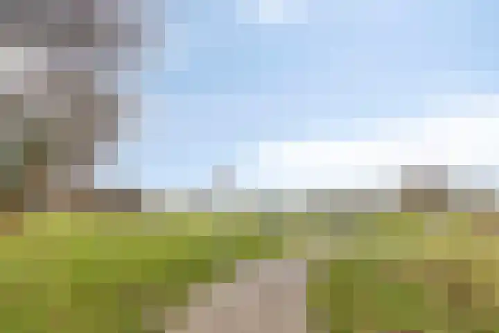 Reyershaag 93 Maastricht thumbnail 27