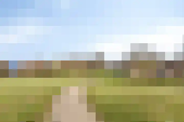 Reyershaag 93 Maastricht thumbnail 28