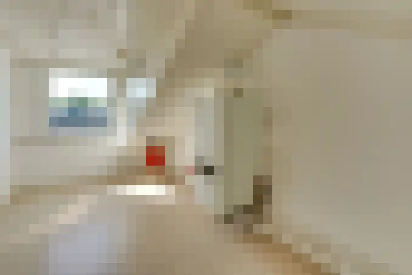 Reyerslaan 5 Nieuwegein thumbnail 47