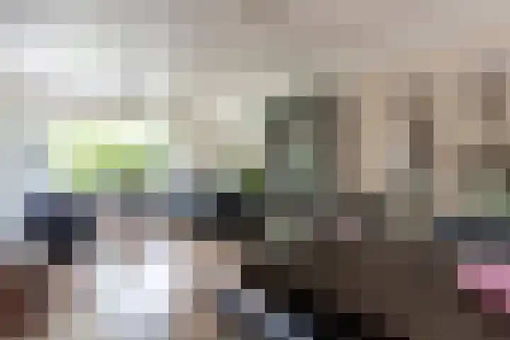 Reygerboslaan 30 Giessen thumbnail 11