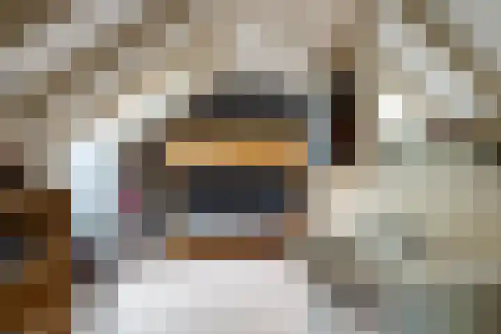 Reygerboslaan 30 Giessen thumbnail 23