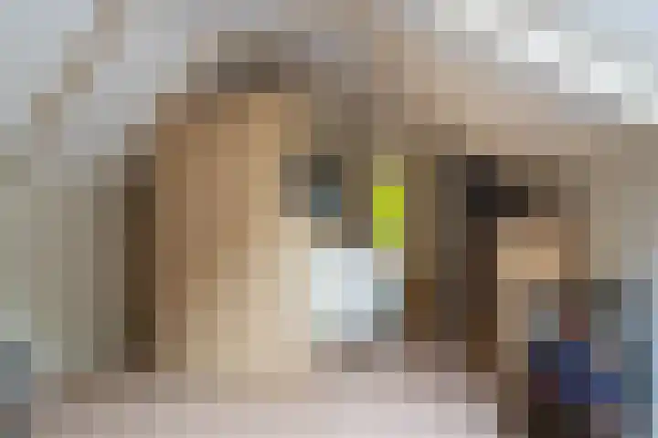 Reygerboslaan 30 Giessen thumbnail 25