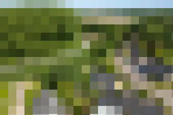 Reygerboslaan 30 Giessen thumbnail 26