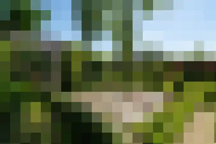 Reygerboslaan 30 Giessen thumbnail 27