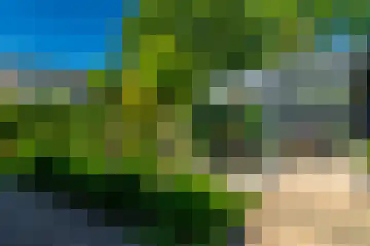 Reygerboslaan 30 Giessen thumbnail 28