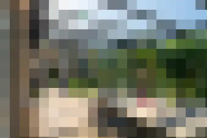 Reygerboslaan 30 Giessen thumbnail 30