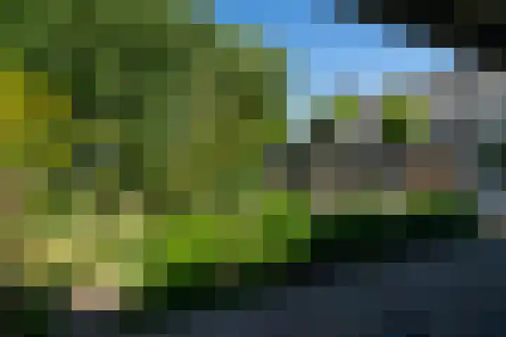 Reygerboslaan 30 Giessen thumbnail 31