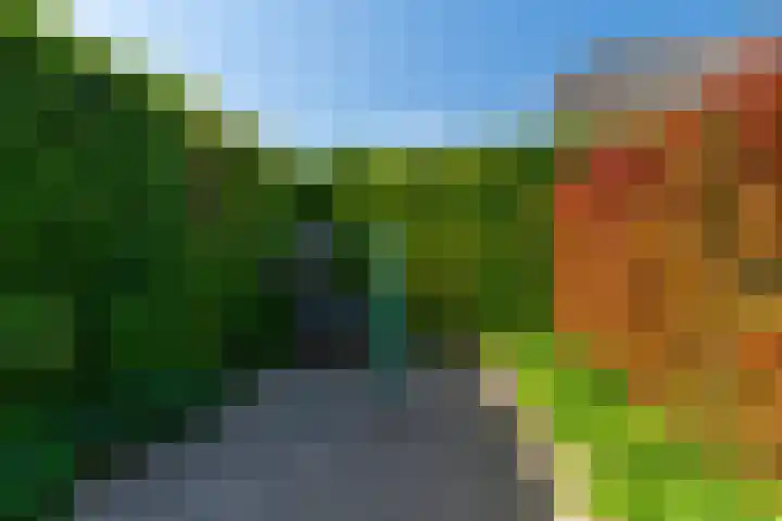 Reygerboslaan 30 Giessen thumbnail 32