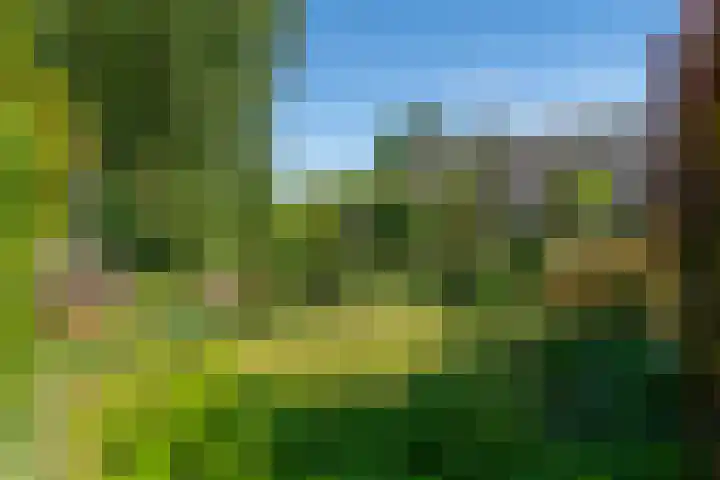 Reygerboslaan 30 Giessen thumbnail 33