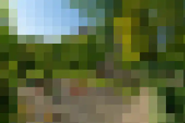 Reygerboslaan 30 Giessen thumbnail 36