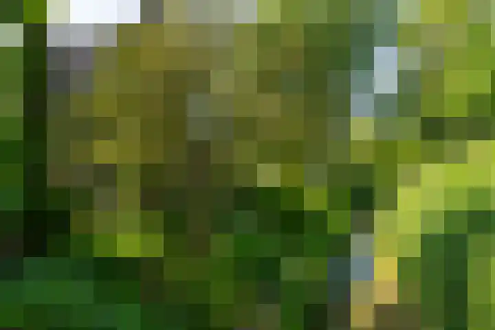 Reygerboslaan 30 Giessen thumbnail 4