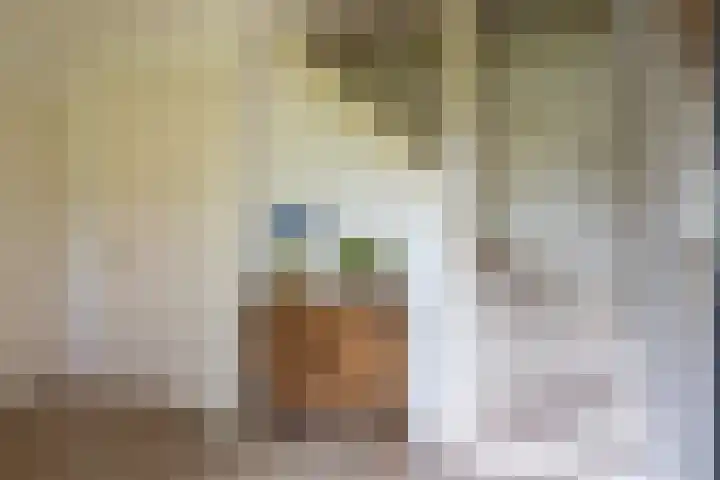 Reygerboslaan 30 Giessen thumbnail 6