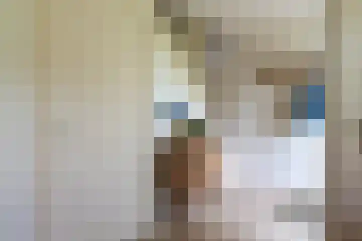 Reygerboslaan 30 Giessen thumbnail 7