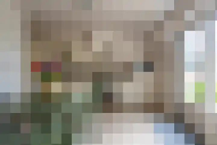 Reygerboslaan 30 Giessen thumbnail 8