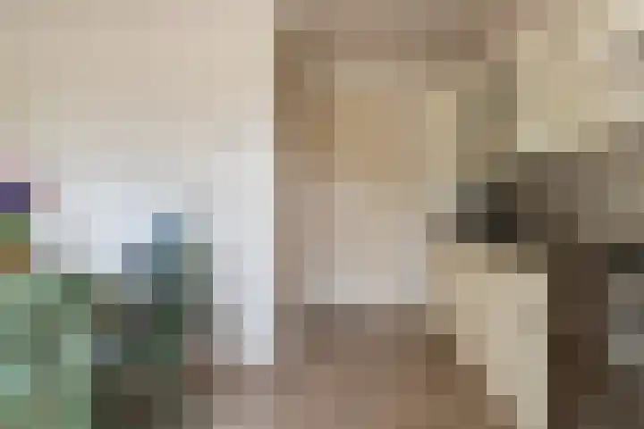 Reygerboslaan 30 Giessen thumbnail 9