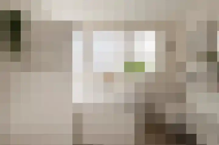 Reygerboslaan 32 Giessen thumbnail 30