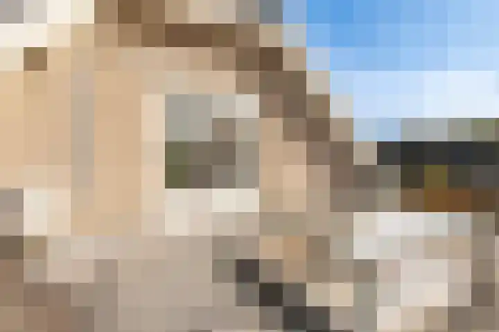 Reygerboslaan 32 Giessen thumbnail 35