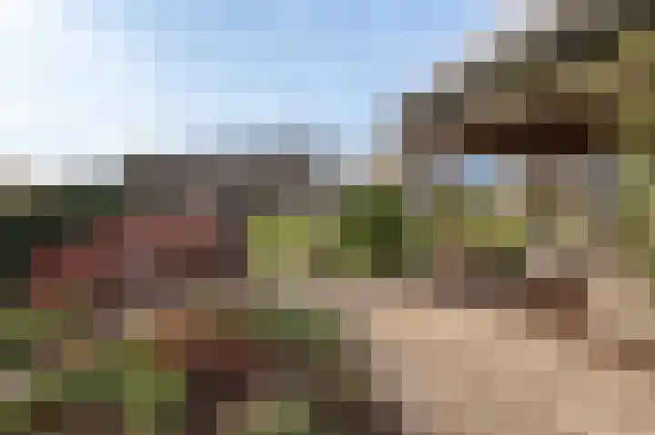 Reygerboslaan 32 Giessen thumbnail 48