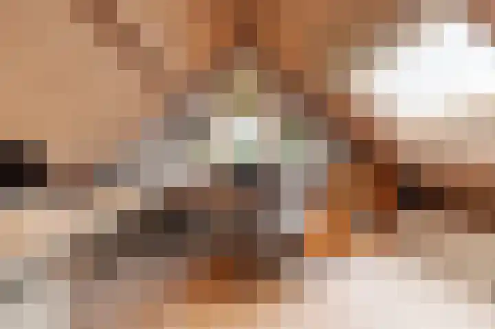 Reygerboslaan 32 Giessen thumbnail 64
