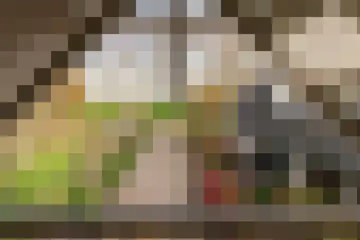 Reygerboslaan 32 Giessen thumbnail 65