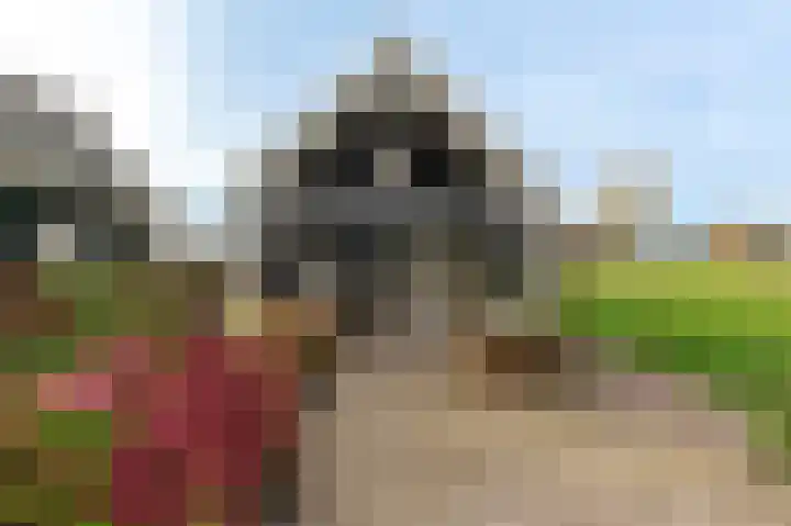 Reygerboslaan 32 Giessen thumbnail 72