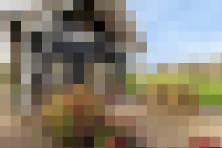 Reygerboslaan 32 Giessen thumbnail 73
