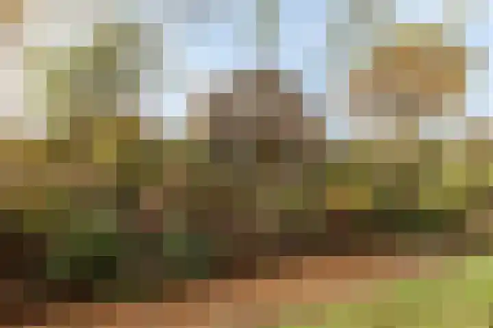 Reygerboslaan 32 Giessen thumbnail 77