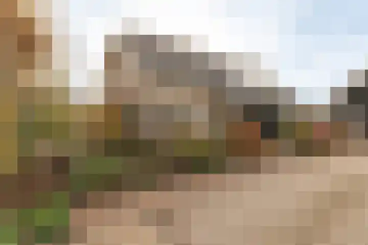 Reygerboslaan 32 Giessen thumbnail 79