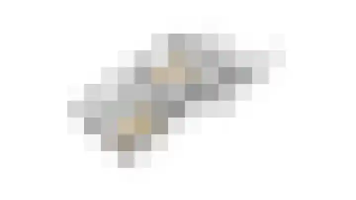 Reygerboslaan 32 Giessen thumbnail 92